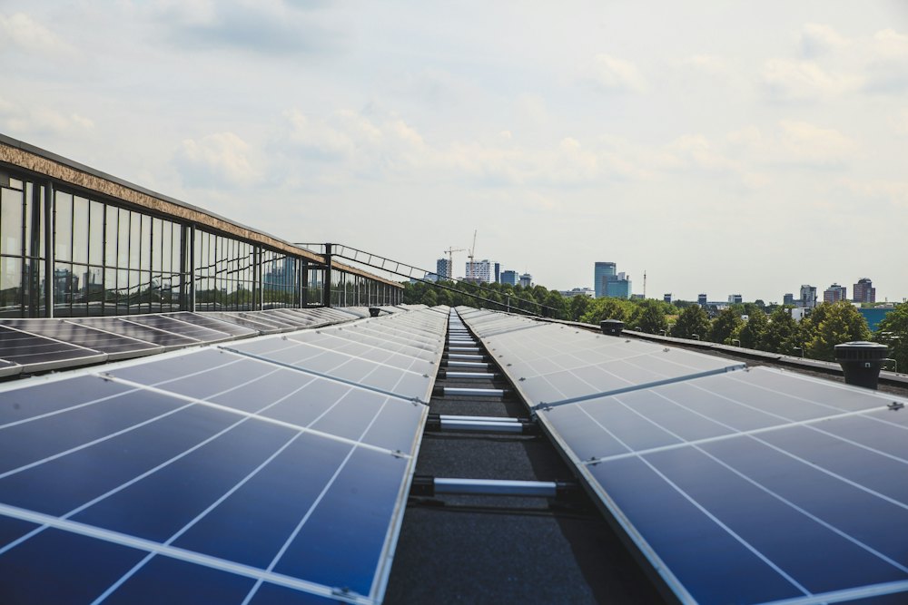 Reihen von Solarmodulen auf einem Flachdach