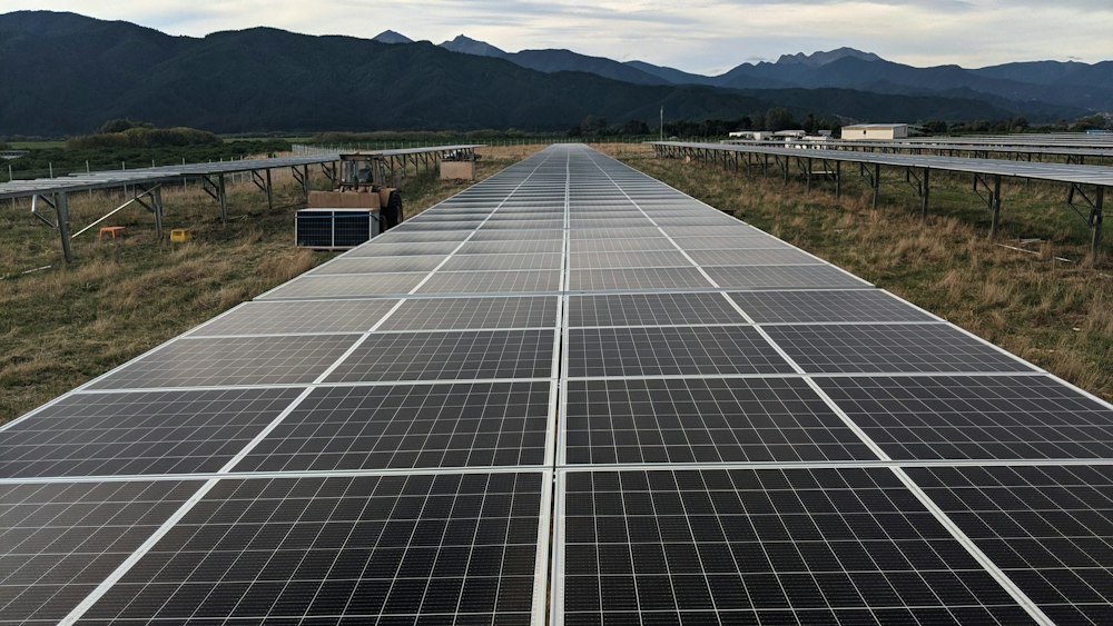 Reihen von Solarmodulen auf einer Wiese