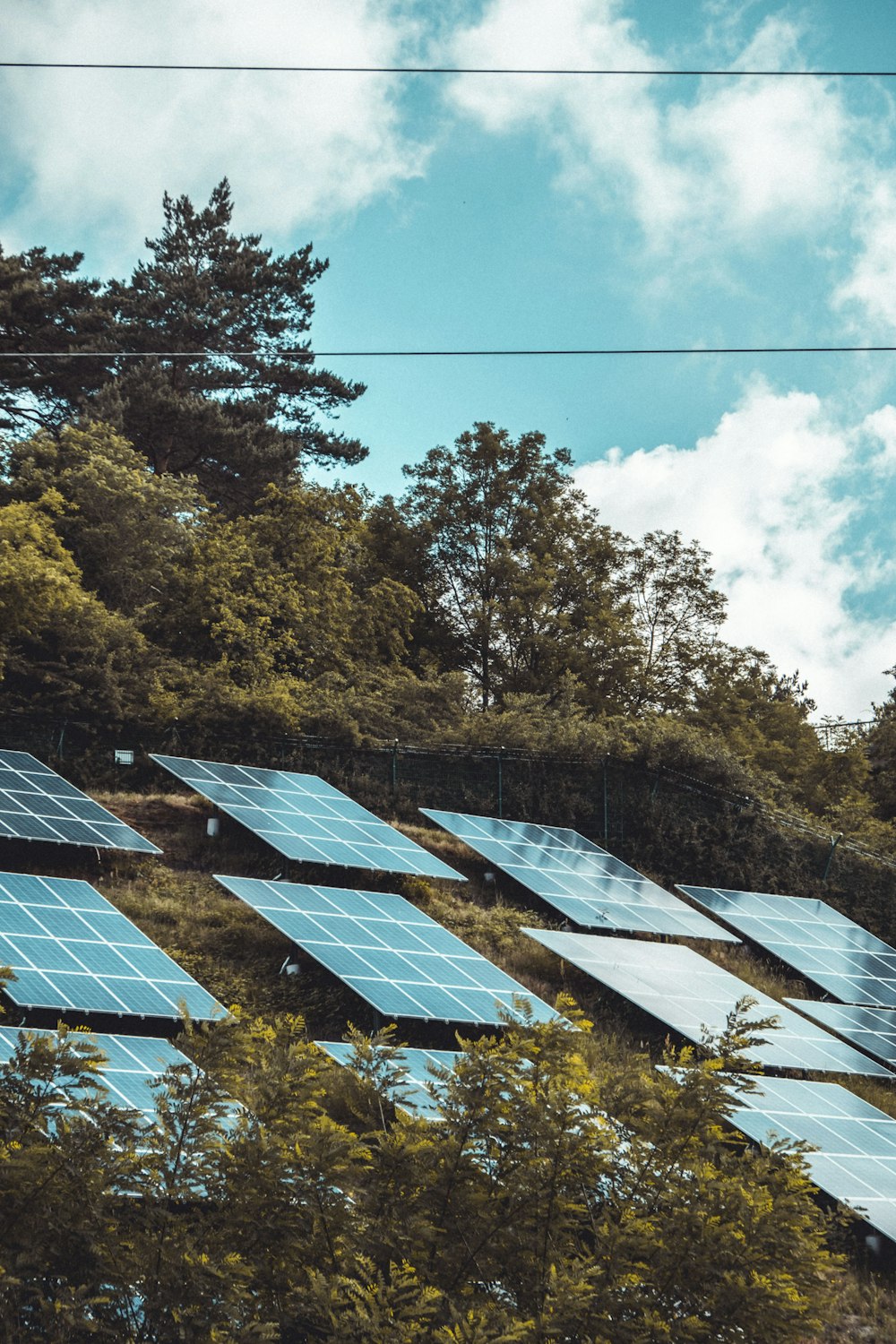 Solarmodule auf einem Hausdach zwischen Bäumen